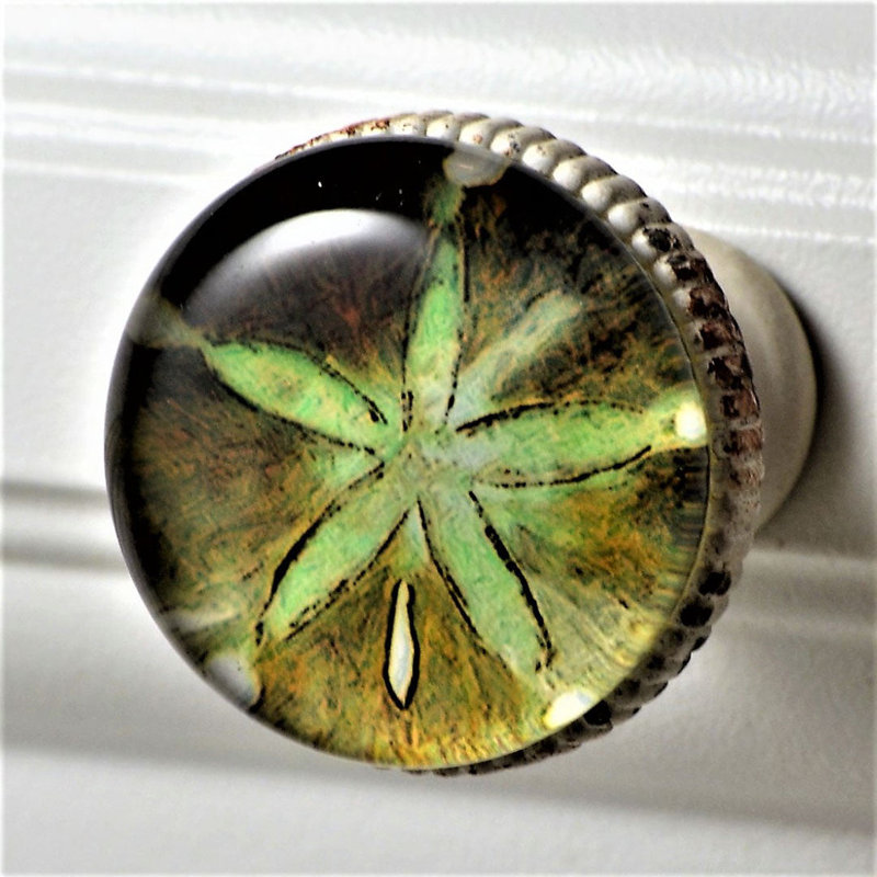 Sea Green Starfish Knob