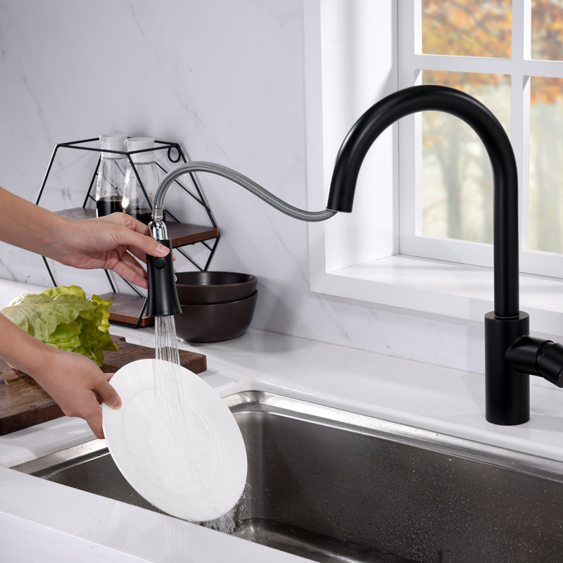 Pull Down Single Handle Kitchen Faucet, Matte Black