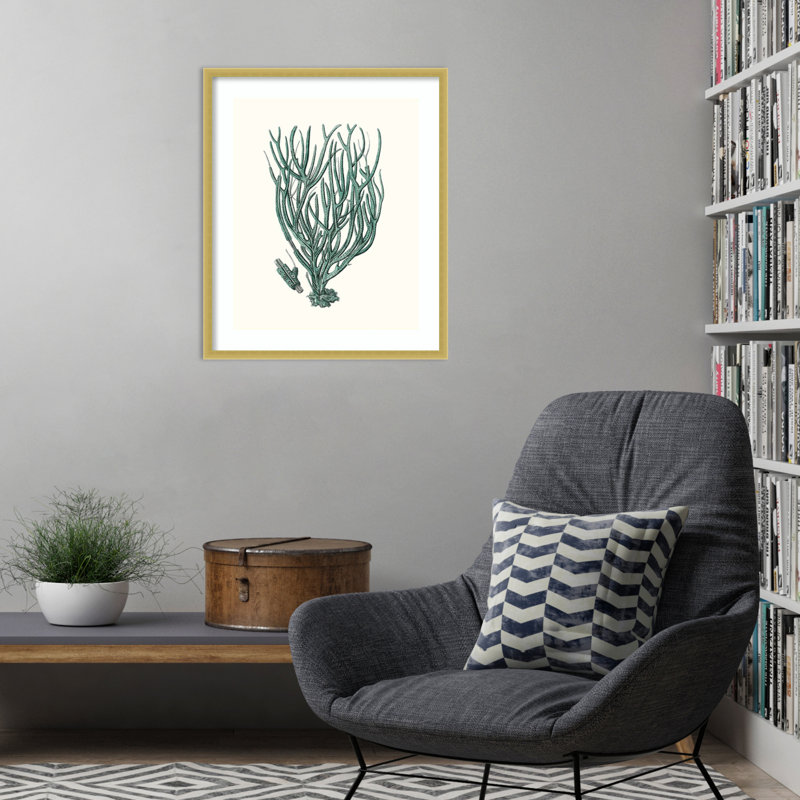 «Antique Coastal Coral VIII» par Johann Esper, impression sur bois encadrée, H 25 po x l 21 po
