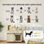 Cat Cage/Crate