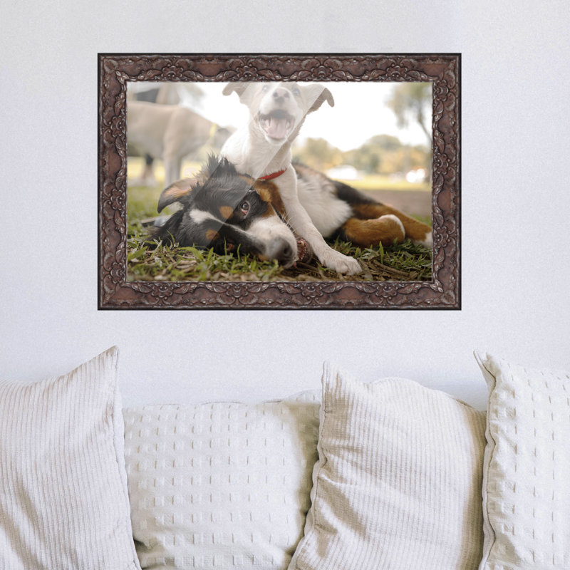 Cadre photo Cornellious, Brun, L 15 po x H 18 po