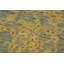 Tapis vert / jaune en laine noué à la main à motif floral 9 pi 9 po x 13 pi 3 po Floral