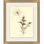 Dandelion Print