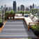 Waikiki Striped Indoor / Outdoor Rug