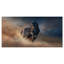 «Black Stallion Horse», reproduction de photo sur toile tendue-29495984