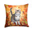 Coussin American-112679488