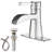 Single-Hole Single-handle Bathroom Faucet with Drain Assembly-64600859