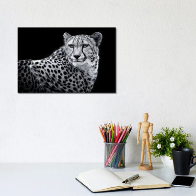 Kulinda In Black And White by David Whelan - Wrapped Canvas Painting