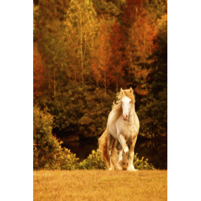 Horse Motion IX