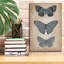 «Epic Graffiti« Vintage Butterflies Trio 1 »par Art Licensing Studio, art mural sur toile, 12 po x 18 po