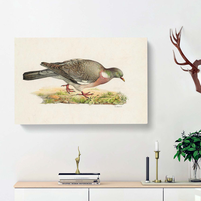 Common Wood Pigeon by Von Wright - Wrapped Canvas, 40cm H x 60cm W x 3cm D