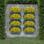 Ensemble de 24 pots de fleurs muraux-1138889782