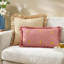 Les Fruites Striped Rectangular Cushion-125050767