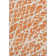 Premium Machine Washable Cerrito AMF501 Orange Rug