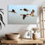 Pintail Ducks-108877250