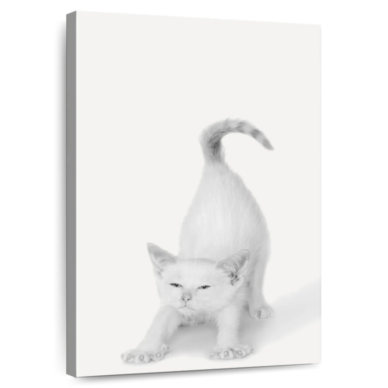 Brampt Bonjour Kitty, H 30 po x l 20 po