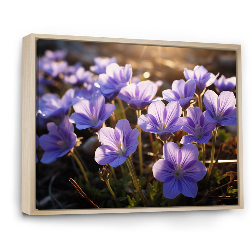 «Violets Field At Sunrise I», reproduction sur toile, Cadre naturel flottant, 34" H x 44" W