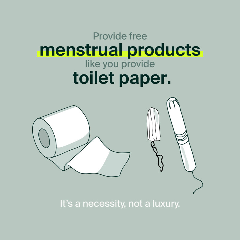 Distributeur mural en carton, Pantyliners, régulier, H 11,8 po x l 4,33 po x P 3,85 po