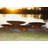 Asia Fire Pit-12800667-15737378-15737379