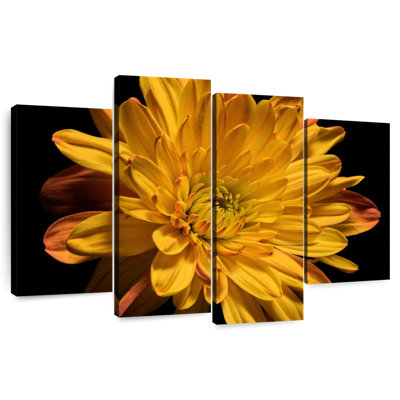 Harnek fleur de chrysanthème