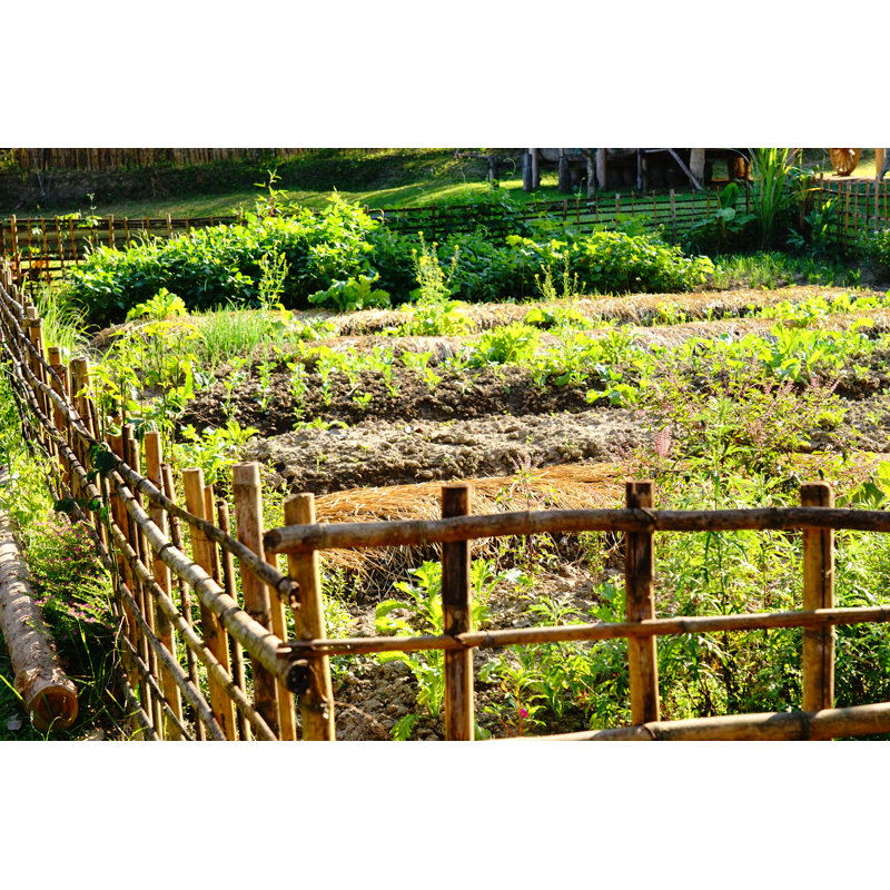Vegetable Garden by Supersmario, 20" H x 30" W