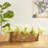 Carmiche Joss Vase-117969929