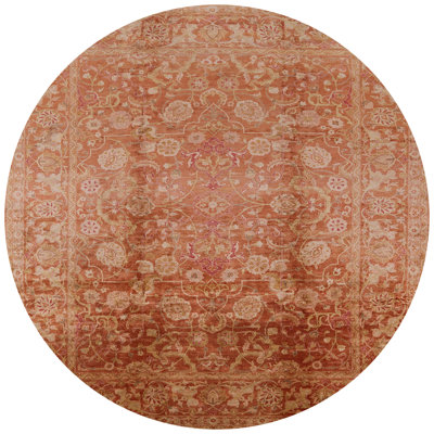 Sejer Oriental Indoor Rug