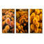 Champ de chrysanthèmes jaunes au lever du soleil-1817714251-1817714255