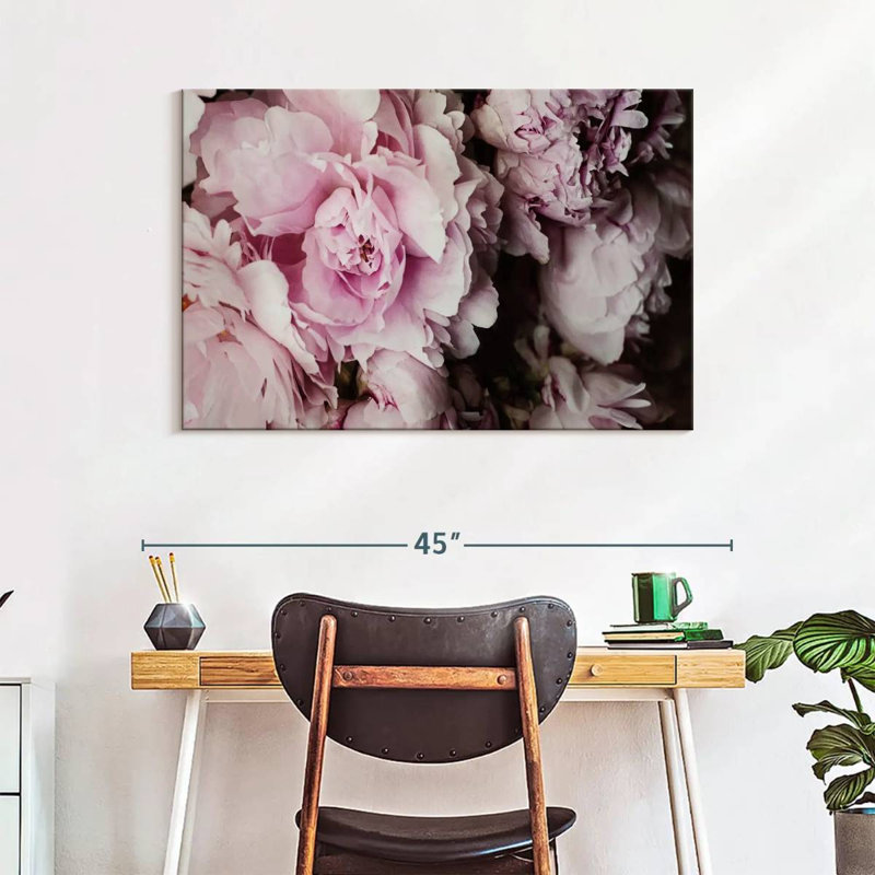 Pivoines Harnek Galore II, H 26 po x l 39 po