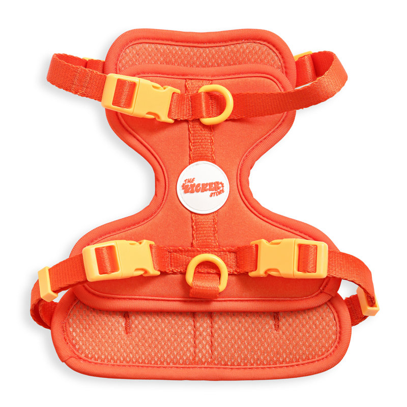 Harnais pour animal de compagnie Arlo, Orange foncé, Small
