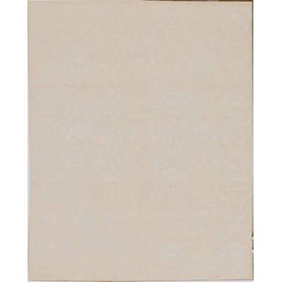 Damask Area Rug in Beige