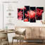 Red Jellyfish-108745229