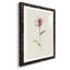 Mauve Garden Flowers VI - peinture encadrée-955008972-955008978