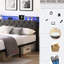 Lit plateforme tapissier gris foncé avec lumières à DEL et rangement - Lattes lourdes de tête de lit double en métal, couleur, sans sommier tapissier, bruit, facile à installer-121105072