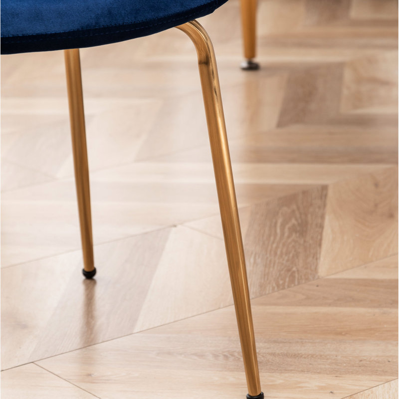 Ensemble de 2 chaises de salle à manger élégantes en velours bleu, Bleu
