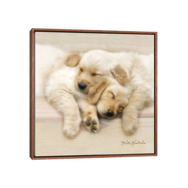 Nap Friends by Keith Kimberlin - Print on Canvas, Classic Brown Wood Framed, 66.04 cm H x 66.04 cm W