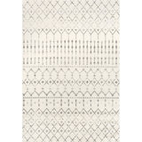 Giannini Geometric Moroccan Area Rug in Gray/ Off White
