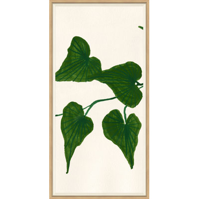 Ivy II Giclee Print by Susan Hable