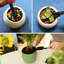 Ensemble de 12 mini outils de jardinage