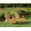 Adirondack Solid Wood Adirondack Chair-1325466361