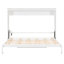 Grand lit escamotable mural et USB-797488998