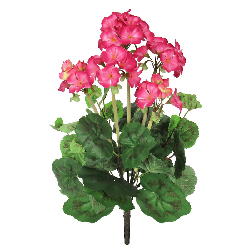 Fleur de géranium, Rose / vert