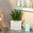 Antique White Planter For Outdoor Decoration - 10.99 In. Depth, Width, 11.33 Height, 10.98 Lb Heavy Plant Care