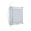 Montrese Single Door Medicine Cabinet with Adjustable Shelves-33933331