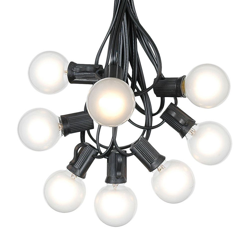 Patio Outdoor 25 - Bulb 25'' Plug-in Globe String Light, Frosted White, Black