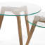 Darienzo Glass Top Nesting Tables