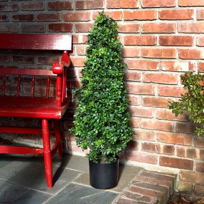 Boxwood Foliage Cone Topiary in Planter