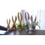 Figurine de lapin-136276428-136276430