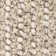 Anni Wool Area Rug in White