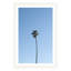 Plants & Flowers Print-159553944-159770425